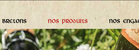 Menu Nos produits pour parcourir le catalogue